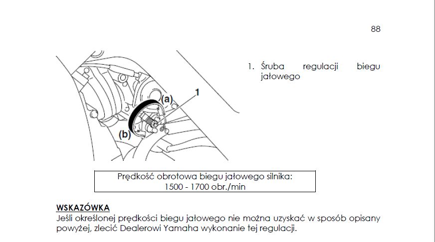 Przechwytywan.JPG